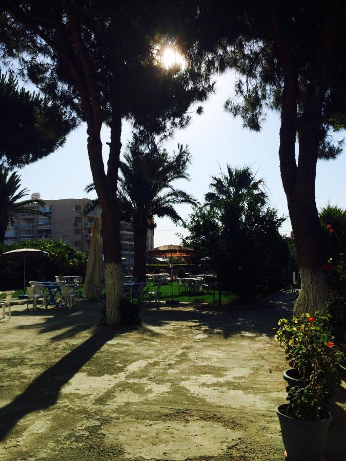 Maviev Otel Çeşme Kültér fotó